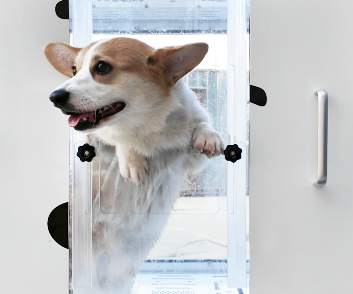 A complete Drezen automatic dog wash cabin, ready the day it arrives